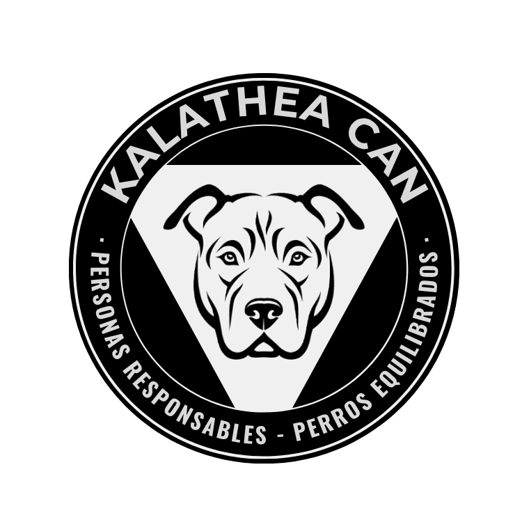 Murteira Adiestramiento Barcelona